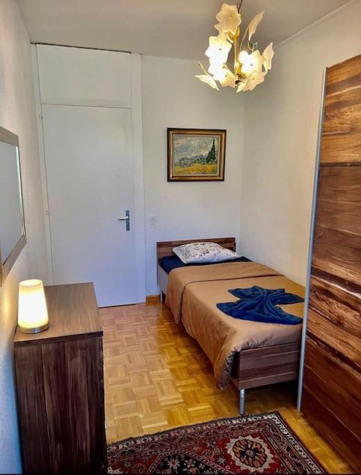 Appartement 7,0 Pieces 3 Chambres Proximite Aeroport Genf Exterior foto